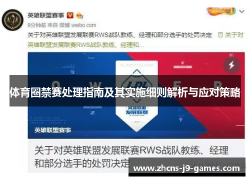 体育圈禁赛处理指南及其实施细则解析与应对策略