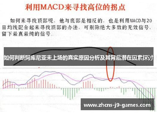 如何判断阿库尼亚未上场的真实原因分析及其背后潜在因素探讨 如何判断阿库尼亚未上场的真实原因分析及其背后潜在因素探讨
