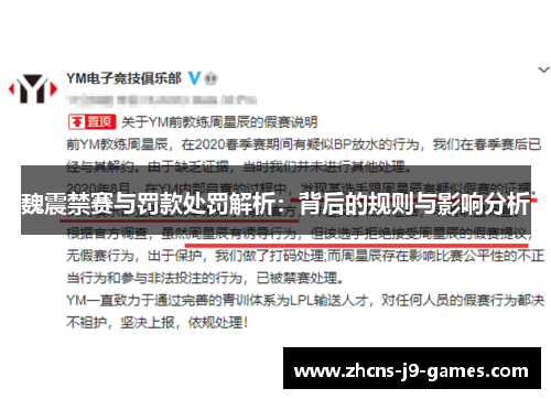 魏震禁赛与罚款处罚解析：背后的规则与影响分析